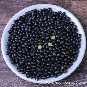 Green Kernel additive-free Dry Black Beans